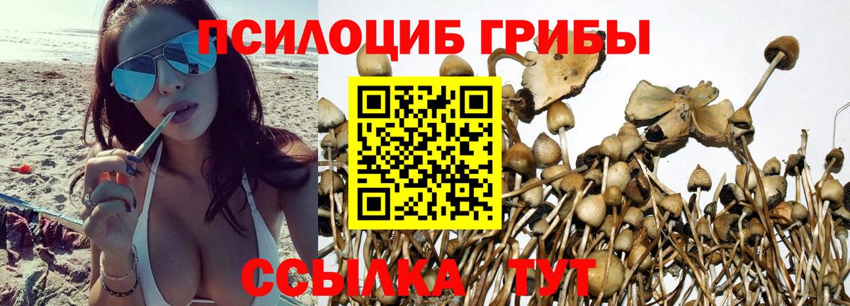 Псилоцибиновые грибы мицелий  Вход с VPN  Павловский Посад 