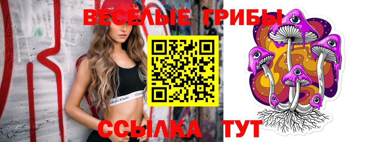 Галлюциногенные грибы Magic Shrooms Павловский Посад
